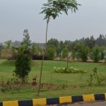 Adhvaytha Midas Garden view