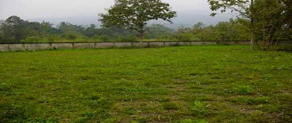 Green Fields Hosur Road Featured Image